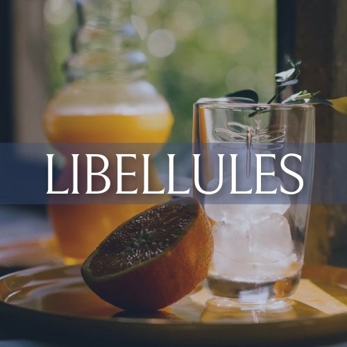 Libellules